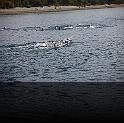 Comen Cup 2009 433